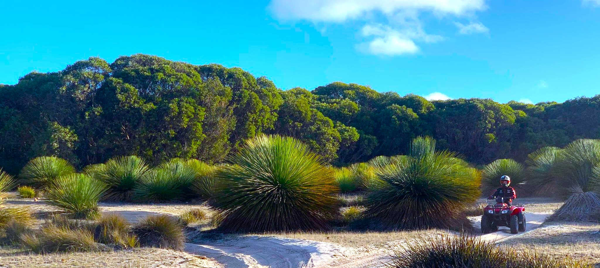 Quad bike tour across the open grassland and dunes at Vivonne Bay, Kangaroo Island